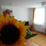Krakovska Apartments