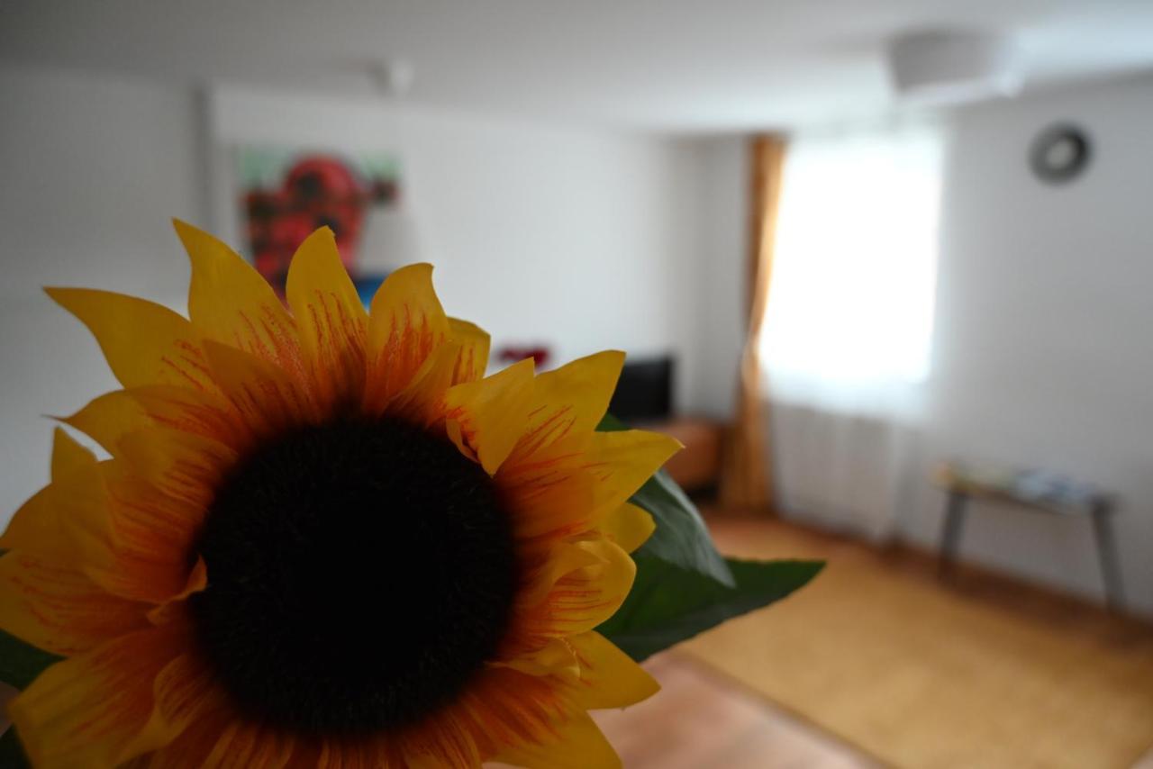 Krakovska Appartamento *